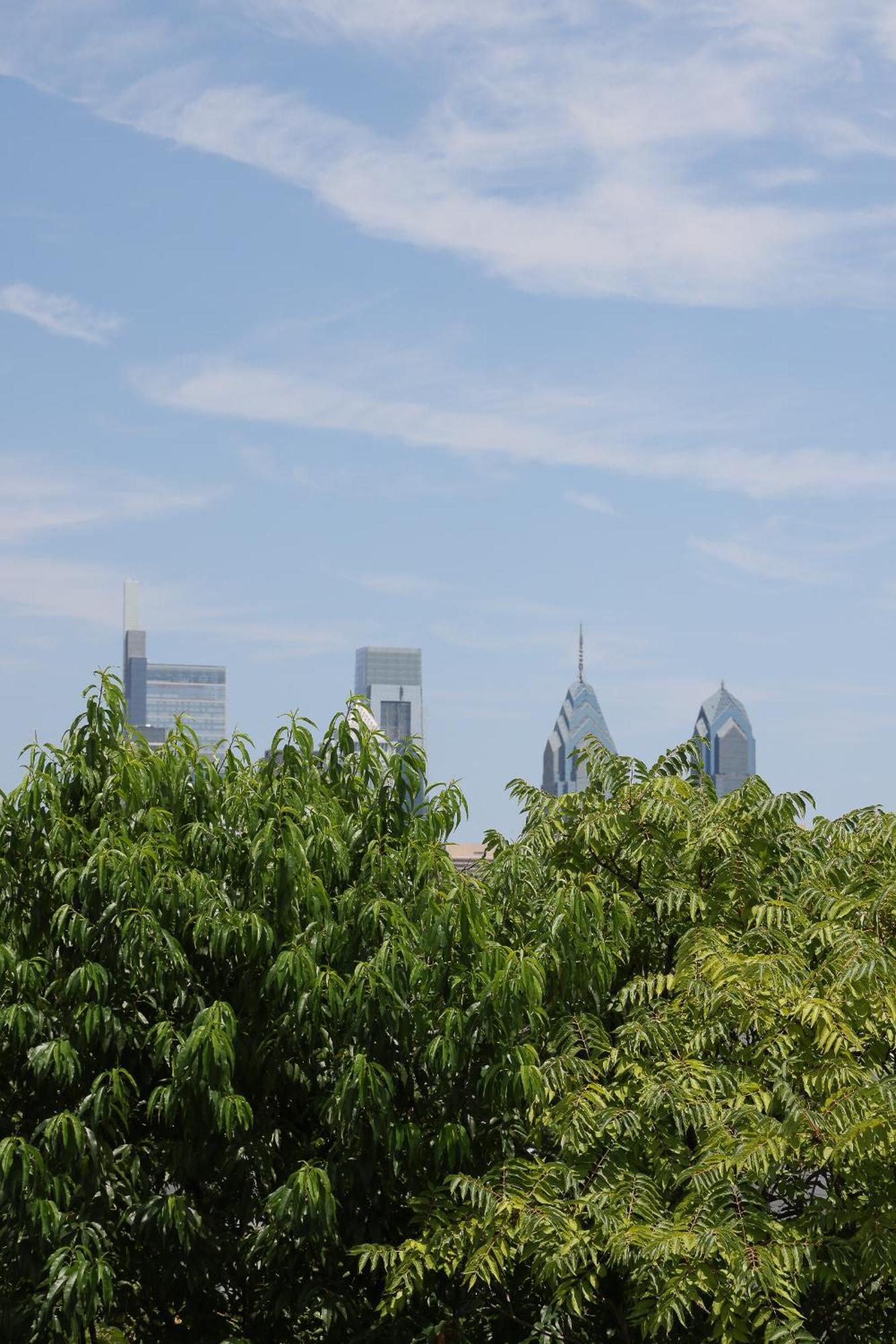 Peaceful Zen Getaway In The City Philadelphia Luaran gambar
